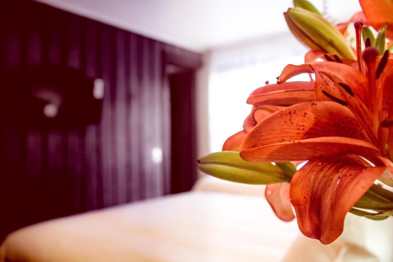 Newen B&B Pucon Ngoại thất bức ảnh