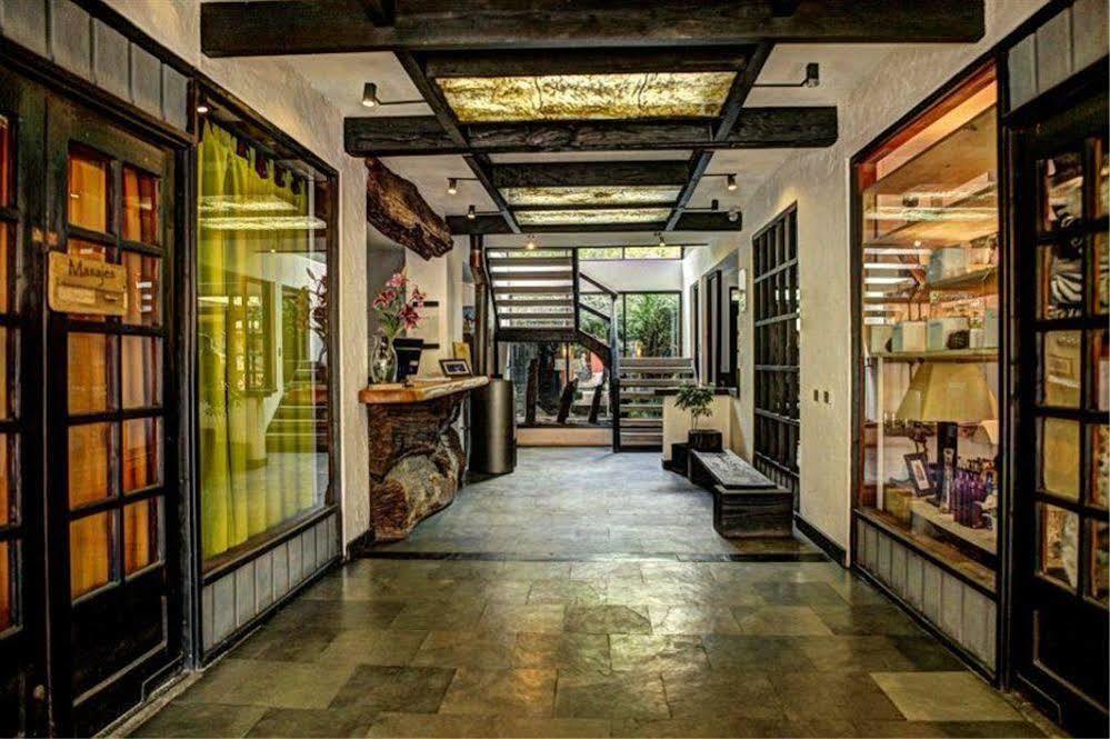 Newen B&B Pucon Ngoại thất bức ảnh